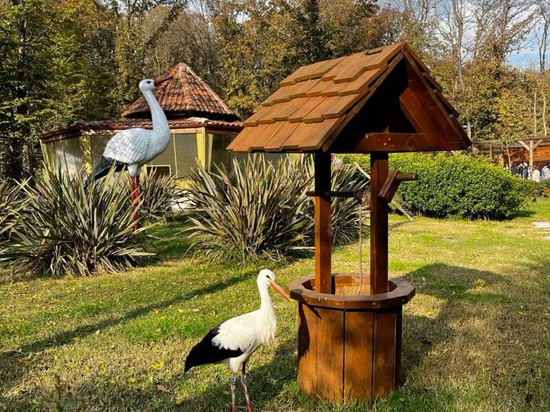 GÜNÜBİRLİK ORMANYA MAŞUKİYE KARTEPE KAYAK MERKEZİ TURU 