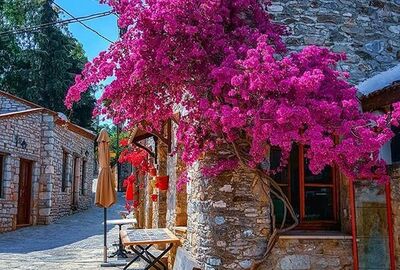 GÜNÜBİRLİK DATÇA BADEM ÇİÇEĞİ FESTİVALİ TURU