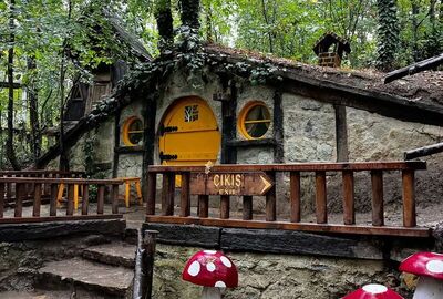 GÜNÜBİRLİK ORMANYA MAŞUKİYE KARTEPE KAYAK MERKEZİ TURU 