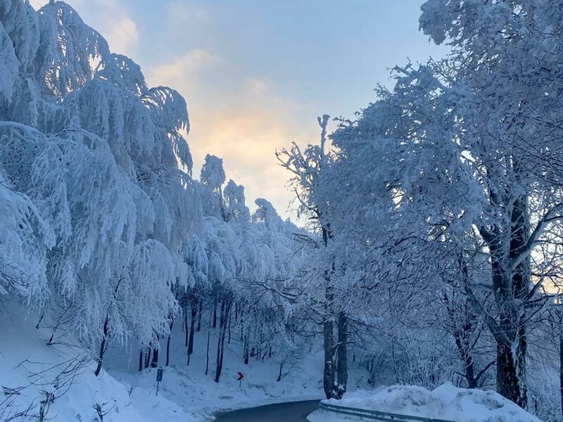 ABANT KARTEPE KARTALKAYA ULUDAĞ KAYAK MERKEZİ TURU (4`lü Kar Keyfi 2 Gece Konaklamalı)