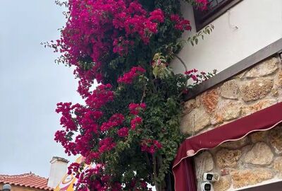 GÜNÜBİRLİK MARMARİS VE DATÇA TURU İZMİR ÇIKIŞLI