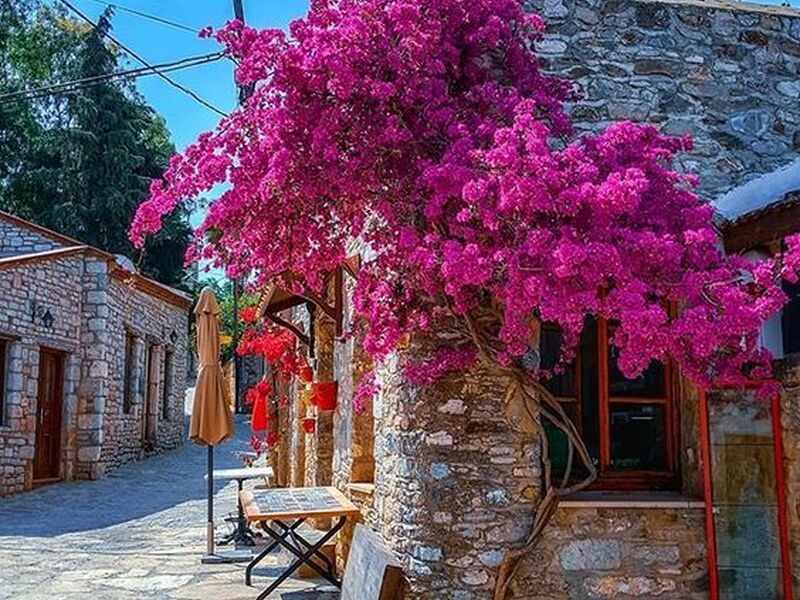 GÜNÜBİRLİK MARMARİS VE DATÇA TURU İZMİR ÇIKIŞLI