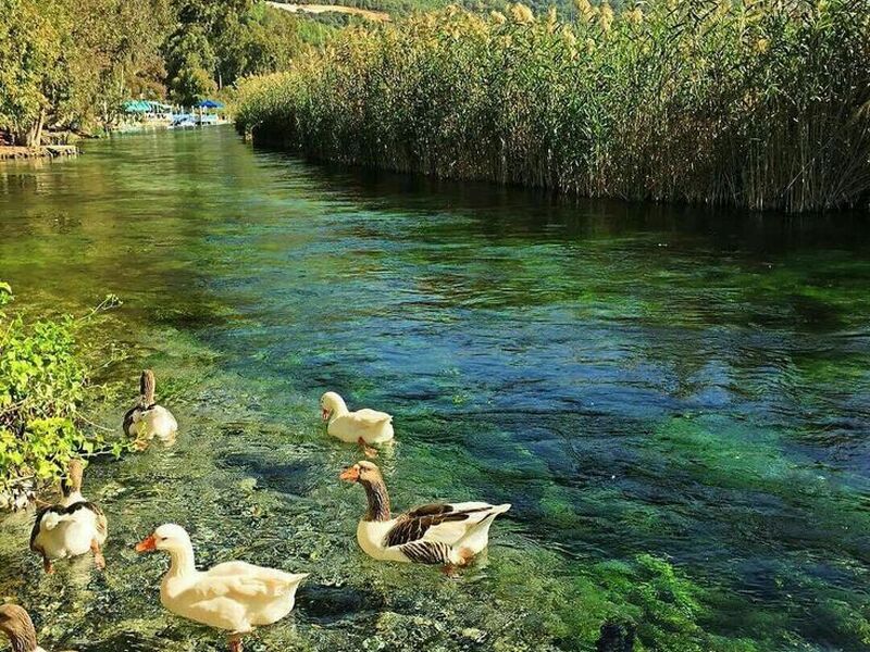 GÜNÜBİRLİK AKYAKA YUVARLAKÇAY GÜZELKÖY TURU İZMİR ÇIKIŞLI