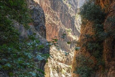 GÜNÜBİRLİK FETHİYE SAKLIKENT VE ÖLÜDENİZ TURU İZMİR ÇIKIŞLI
