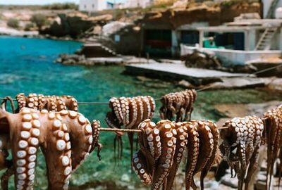 İZMİR ÇIKIŞLI MİDİLLİ ADASI TURU KAPI VİZESİ İMKANI İLE ( 2 GECE 3 GÜN)