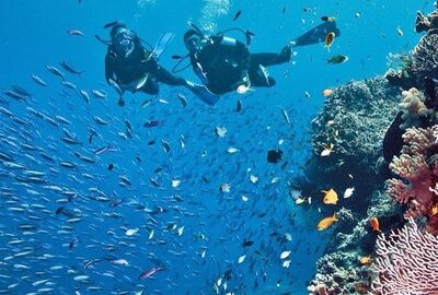 İZMIR`DEN EKSTRA TURLAR DAHIL SHARM EL SHEIKH TURU SunExpress Havayolları ile 3 gece