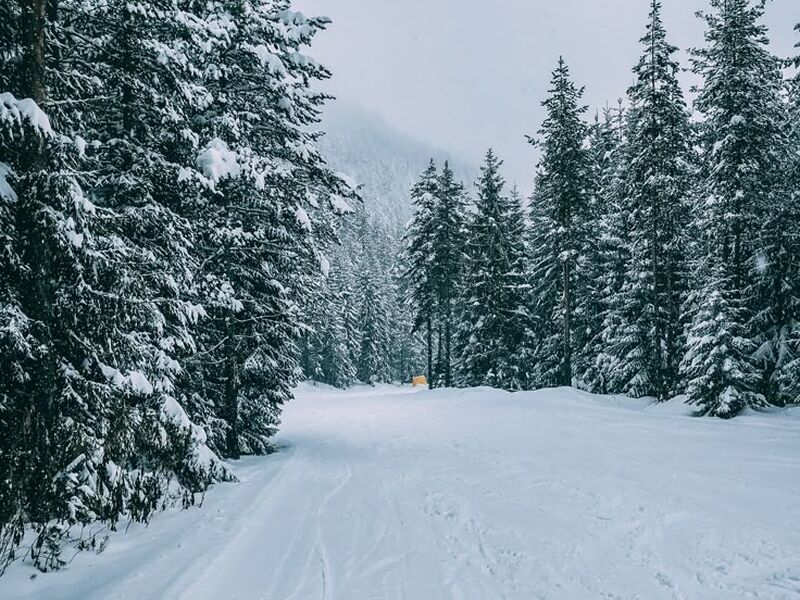 İstanbul`dan Bansko Kayak Turu 4 Gece