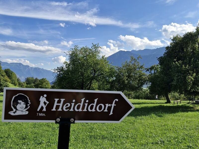 ADANA`DAN BERNİNA EXPRESS ILE BİR AVRUPA MASALI TURU Türk Hava Yolları Özel Seferi ile 6 gece